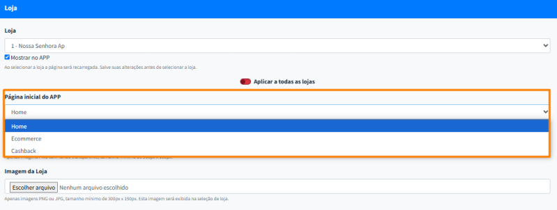Arquivo:Pagina inicial do aplicativo, escolher qual será exibida primeiro.png